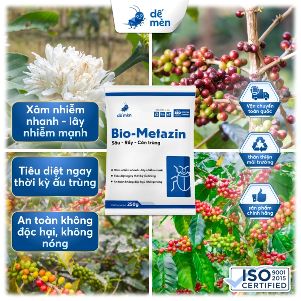 Bio metazin nền cây cỏ