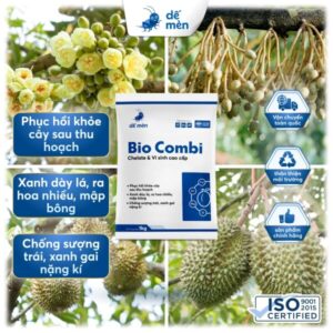 bio combi nền cây cỏ