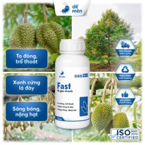 fast 500ml dế mèn vô gạo nhanh