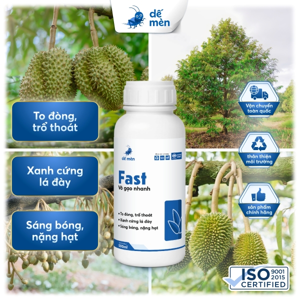 fast 500ml dế mèn vô gạo nhanh