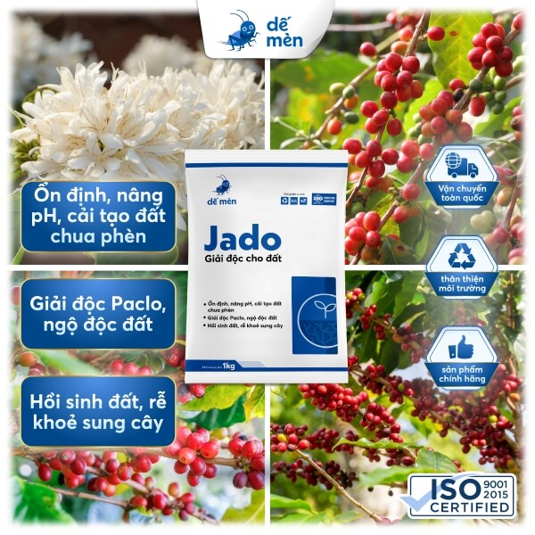 jado 1kg cây cỏ nền