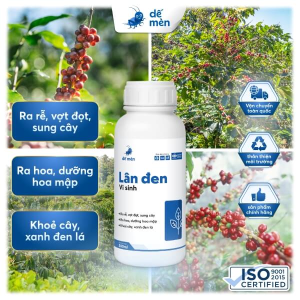 lân đen 500ml nền cây cỏ