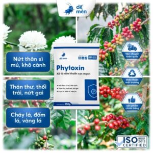 phytoxin 250g nền cây cỏ