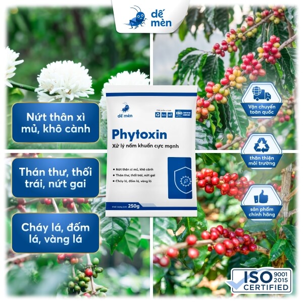 phytoxin 250g nền cây cỏ