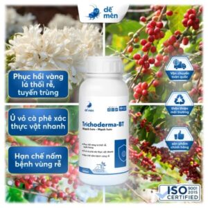 trichoderma bt 500ml cây cỏ nền