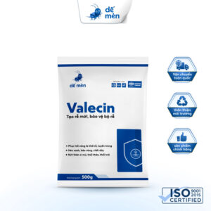 VALECIN