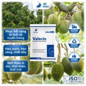 valecin 500g nền cây cỏ