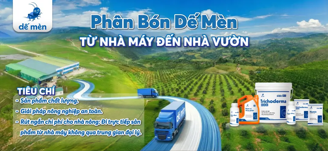 banner phân bón dế mèn