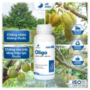 oligo cây nhà lá vườn