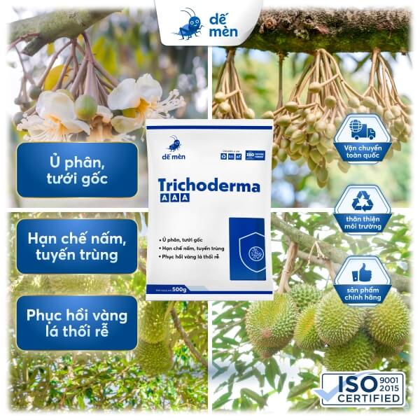 trichoderma aaa 500g nền cây cỏ