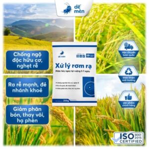 xử lý rơm rạ 250g nền cây cỏ