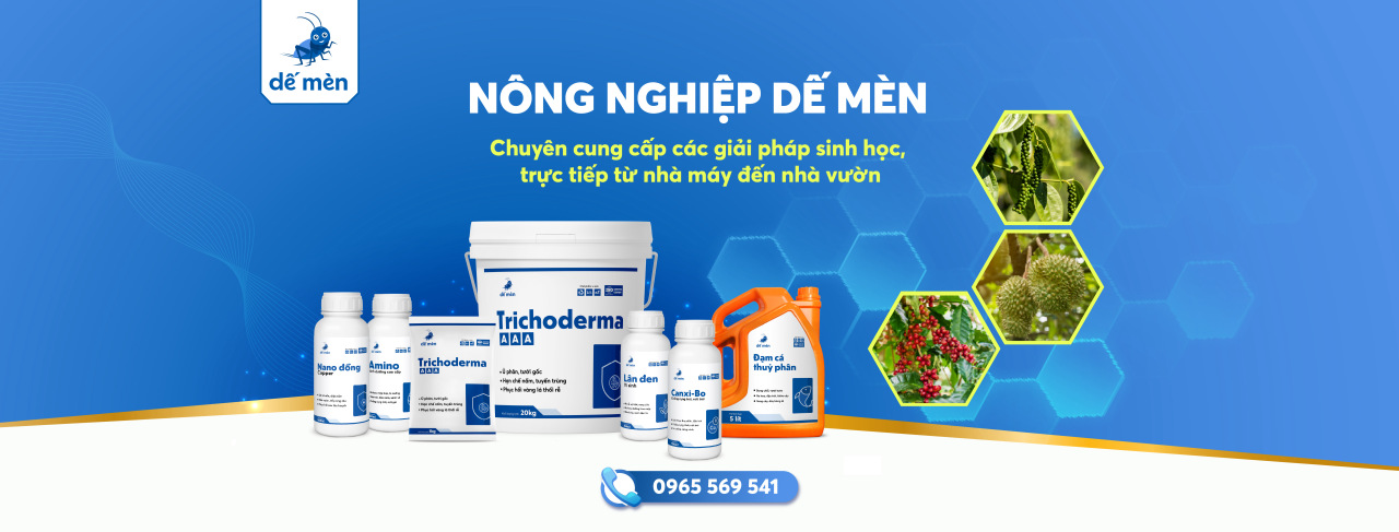 banner trang chủ dế mèn