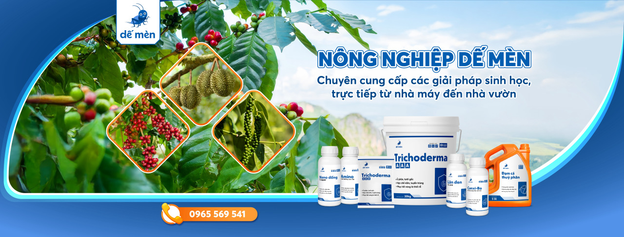 banner phân bón sinh học dế mèn
