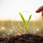 bảo vệ thực vật icon