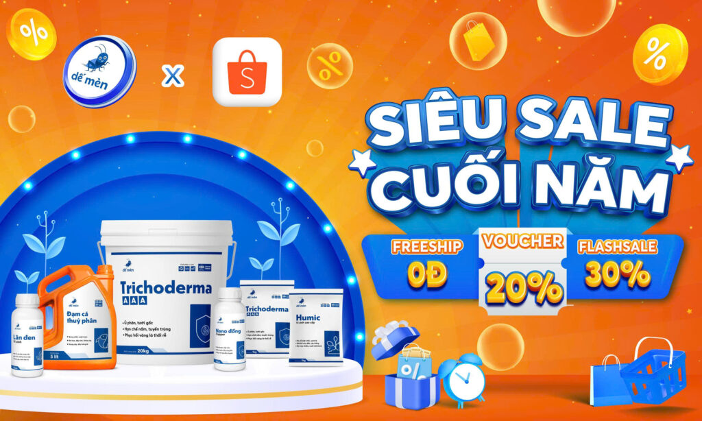 chương trình sàn shopee