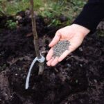 phân bón hữu cơ vi sinh icon