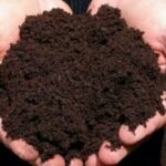 phân bón vi sinh icon