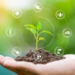 phòng bệnh cây trồng