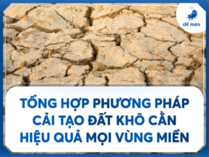 tổng hợp phương pháp cải tạo đất phù hợp mọi vùng miền