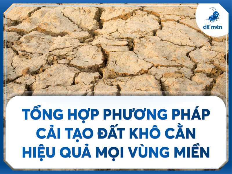tổng hợp phương pháp cải tạo đất phù hợp mọi vùng miền
