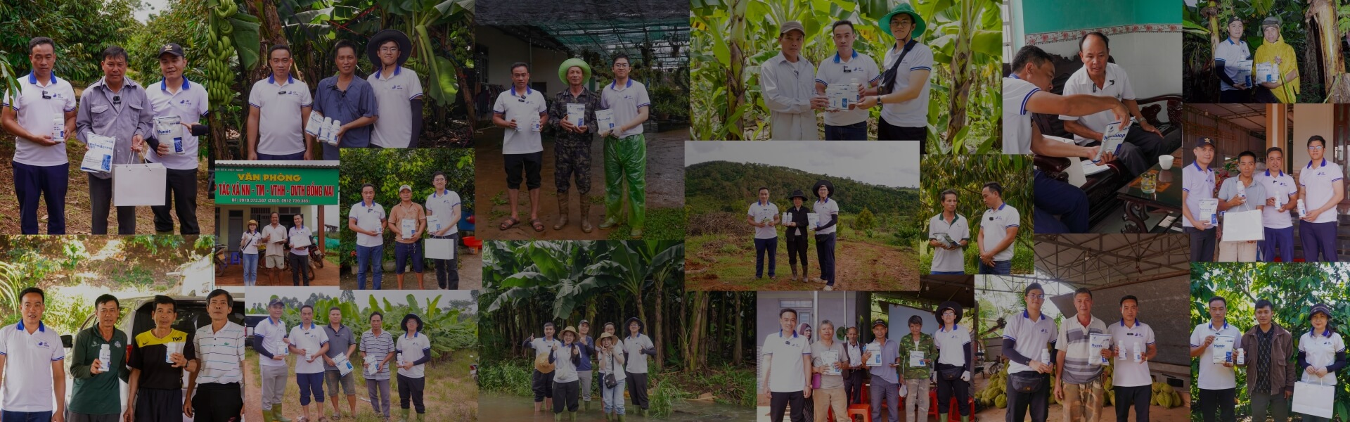 review khách hàng dế mèn