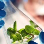 trừ bệnh sinh học icon